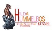 HildaHummelbos